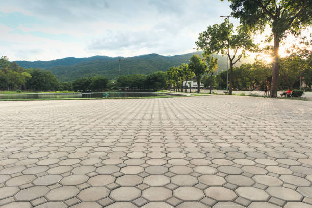 Professional Driveway Pavers in Tillamook, OR